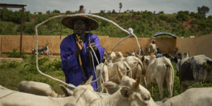 Lancement du projet Seneya à Sédhiou au Sénégal